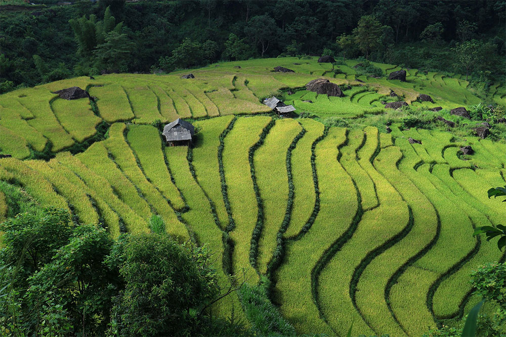 vietnam_07 vietnam_07