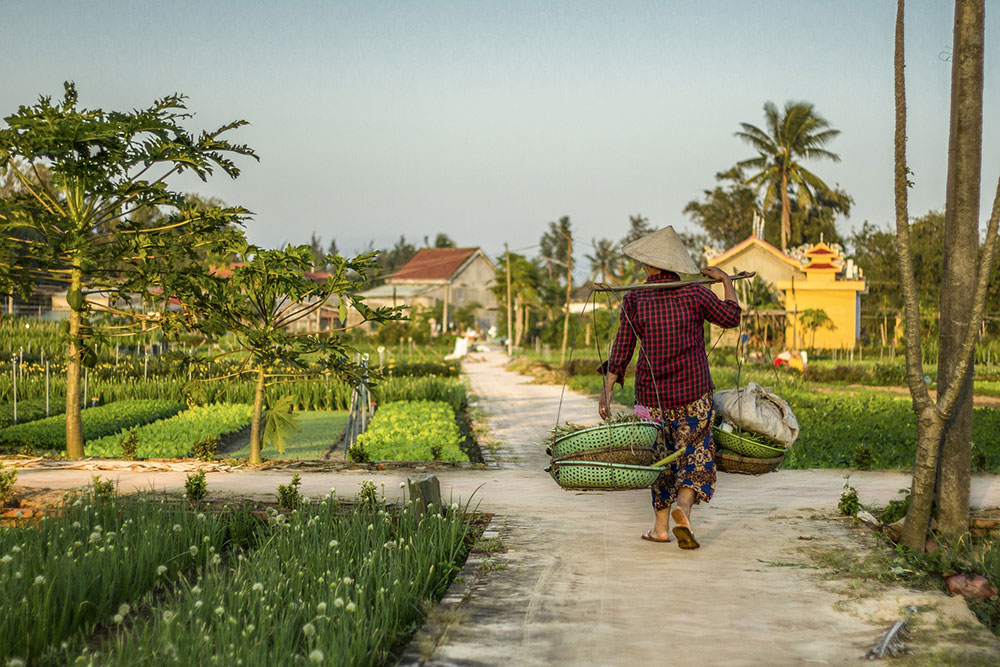 vietnam_08 vietnam_08